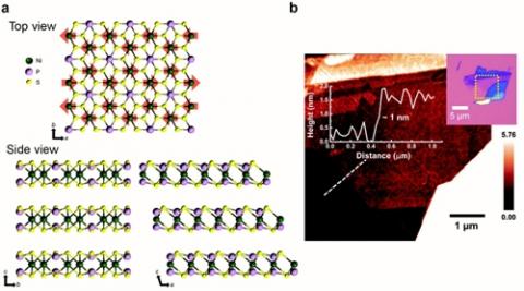 연구진이 만든 니켈삼황화린 단일층 모습 ⓒ IBS
