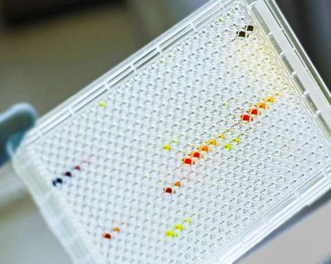 현재까지 수행된 최대규모의 크리스퍼(CRISPR) 유전자 검색 프로젝트 중 하나인 이번 연구에서 수천 개의 핵심 암 유전자가 확인됐다. ⓒ Wellcome Sanger Institute, Genome Research Limited