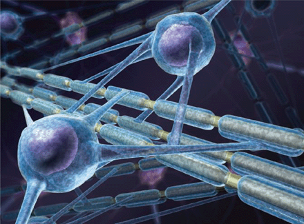 뇌 구조도 바꾸는 명상의 힘!