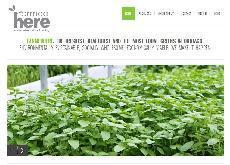 미래 식량문제 해결… 빌딩농장