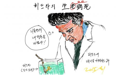생로병사 법칙의 예외 '히드라' 