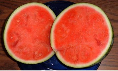 ‘씨 없는 과일’은 GMO 아닌가?