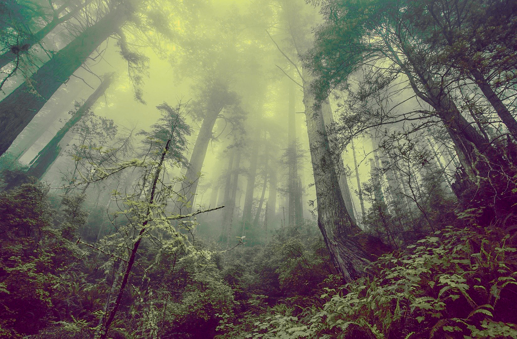 이산화탄소가 지구온난화 늦춘다?