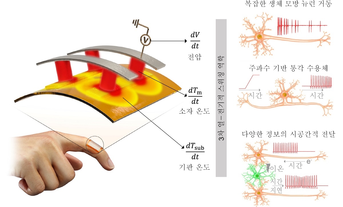 유연한 폴리이미드 기판 위에 구현한 모트 전이 반도체 소자 ⓒKAIST 제공