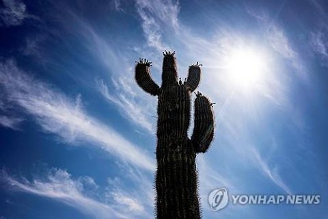 폭염 찾아온 애리조나 피닉스 ⓒAFP=연합뉴스 자료사진