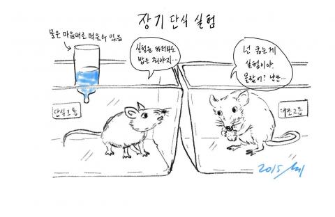 단식하면 건강하게 오래 산다?