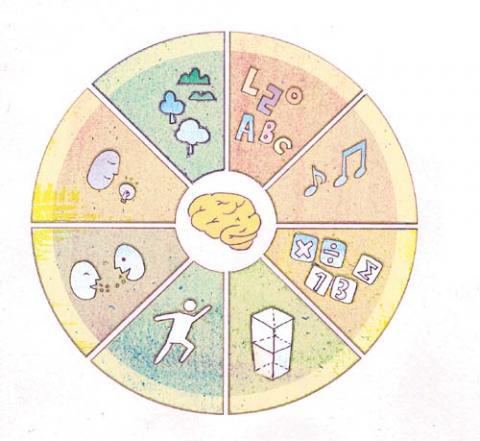 Iq가 변하는 이유, 영양과 교육? – Sciencetimes