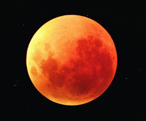 31일 '블랙문'이 뜬다 – Sciencetimes 31일 '블랙문'이 뜬다 – Sciencetimes