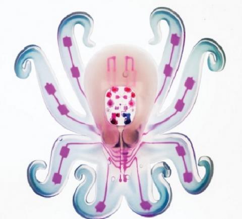 흐물흐물' 로봇이 주목받는 이유 – Sciencetimes