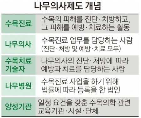 나무의사' 국가자격 신설된다 – Sciencetimes 나무의사' 국가자격 신설된다 – Sciencetimes