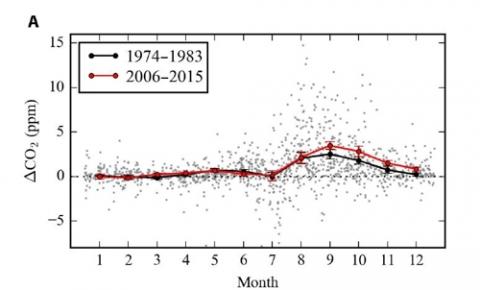 북극 지역 월별 이산화탄소 농도 변화 폭 비교. 2006∼2015년의 계절별 이산화탄소 농도 변화 폭이 1974∼1983년보다 커졌음을 보여준다.