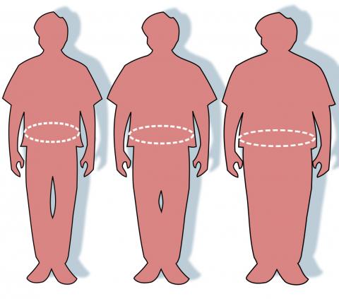 전체 암의 40%가 비만과 관계가 있는 것으로 나타나 ‘비만 전염병’은 전세계에서 경계 대상이 되고 있다. 오른쪽에서부터 비만과 과체중 및 정상 체중 그림. 비만을 예방하려면 먼저 몸에 흡수되는 에너지 양을 줄이고, 흡수한 에너지는 운동을 통해 소진시켜야 한다. Credit: Wikimedia Commons / Victovoi