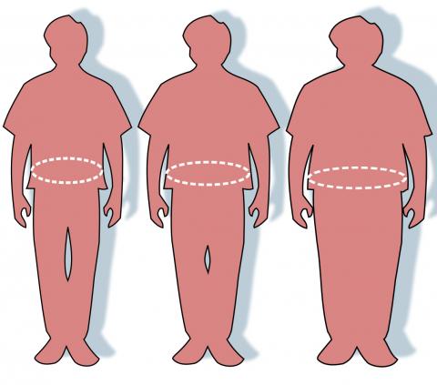 전체 암의 40%가 비만과 관계가 있는 것으로 나타나 ‘비만 전염병’은 전세계에서 경계 대상이 되고 있다. 오른쪽에서부터 비만과 과체중 및 정상 체중 그림. 비만을 예방하려면 먼저 몸에 흡수되는 에너지 양을 줄이고, 흡수한 에너지는 운동을 통해 소진시켜야 한다.  Credit: Wikimedia Commons / Victovoi