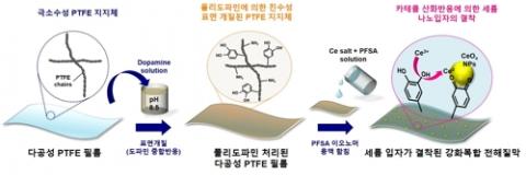 다공성 테플론(PTFE) 지지체를 도파민으로 만든 고분자물질인 폴리도파민(polydopamine)으로 코팅하고, 그 위에 수소이온 전도성을 갖는 PFSA 고분자가 스며든 형태의 강화복합 고분자 전해질막을 만들었다. ⓒ 한국과학기술연구원 제공