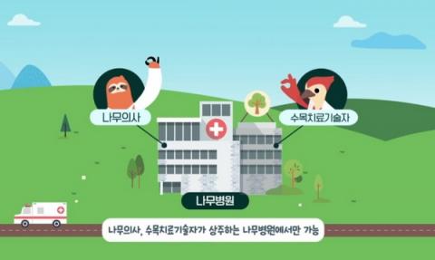 아픈 나무 치료하는 '나무의사' – Sciencetimes 아픈 나무 치료하는 '나무의사' – Sciencetimes