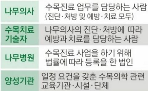 아픈 나무 치료하는 '나무의사' – Sciencetimes 아픈 나무 치료하는 '나무의사' – Sciencetimes