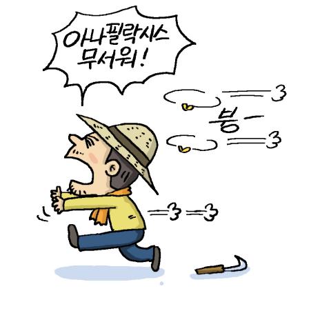 아나필락시스 의미 두통 오한 알레르기 아나필락시스 쇼크 의미 간략한 요약 2