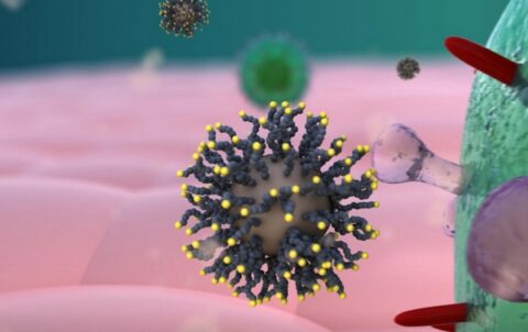 달콤하게 유혹하여 바이러스를 죽인다? – Sciencetimes 달콤하게 유혹하여 바이러스를 죽인다? – Sciencetimes