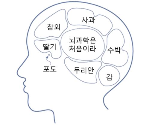 특정 기억을 지울 수 있습니까? – Sciencetimes 특정 기억을 지울 수 있습니까? – Sciencetimes