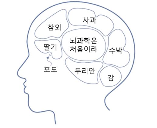 특정 기억을 지울 수 있습니까?  – Sciencetimes