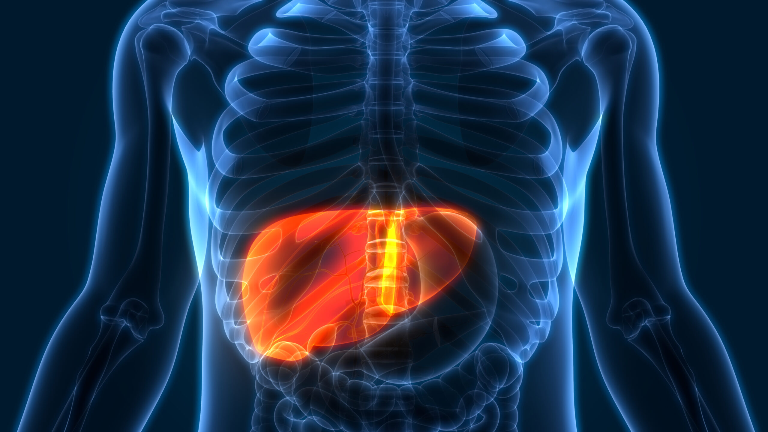 간 전이성 암이 다른 전이성 암보다 더 악성 인 이유는 무엇입니까?  – Sciencetimes