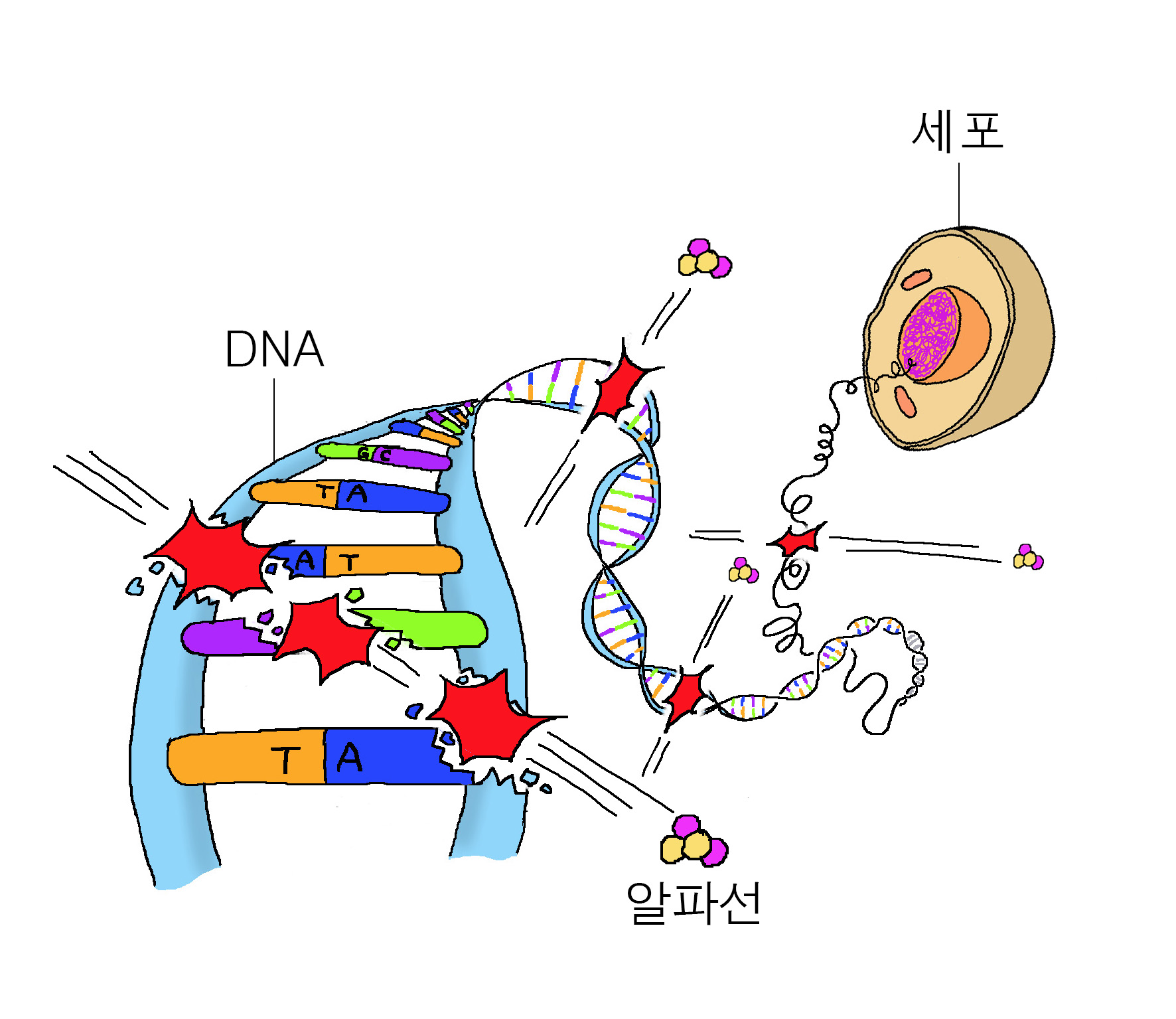 놀라운 방사능의 세계 – Sciencetimes