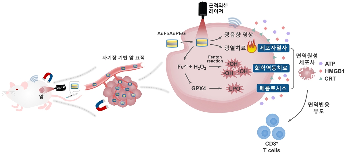 다기능성 나노물질 치료 모식도 ⓒ한국표준과학연구원 제공