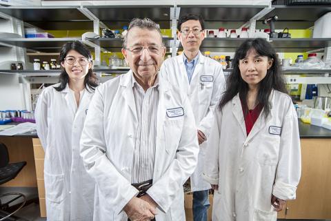 조지아공대 연구팀. 맨 앞이 모스타파 엘-사예드 교수. 왼쪽부터 유에 우 연구원, 롱후 우 교수, 양 탕 연구원. 조지아공대 연구팀. 맨 앞이 모스타파 엘-사예드 교수. 왼쪽부터 유에 우 연구원, 롱후 우 교수, 양 탕 연구원.