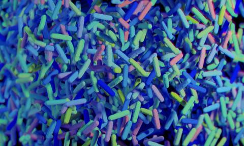 인간 몸 안에 살고 있는 장내 미생물(gut microbiome) 가운데 일부 미생물군의 과다로 다발성 경화증과 같은 불치병이 발생하고 있다는 연구 결과가 나와 세상을 놀라게 하고 있다. ⓒeuropeanpharmaceuticalreview.com