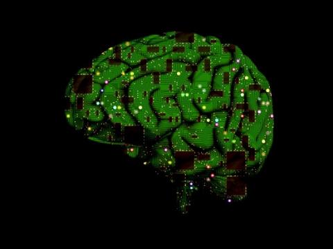 뇌에 전극을 심어 언어기능과 동작 제어 기능을 회복할 수 있는 뇌 임플란트 기술 연구가 활발해지고 있다. ⓒ 네이버 포스트 재인용