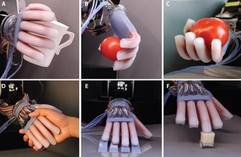 코넬대학이 개발한 촉각센서. 토마토 3개 중에 가장 잘 익은 토마토를 골라낼 수 있다. ⓒ 코넬대