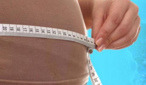 캡사이신이 수용체를 자극하여 지방 소모를 유도하는 것으로 나타났다 ⓒ amrita.edu