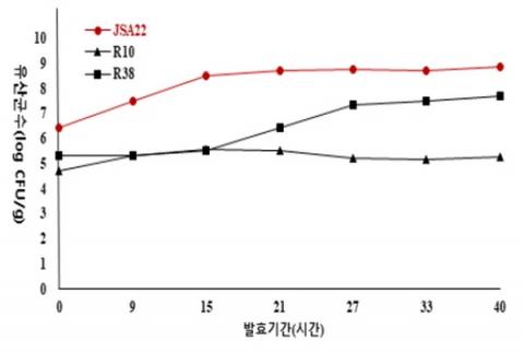 발효기간 대비 유산균수. 제일 위가 과학원이 분리한 유산균 균주다 ⓒ 국립식량과학원