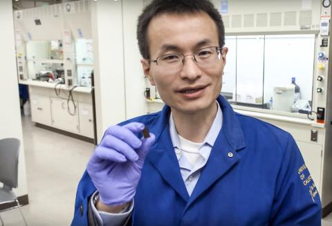 반도체와 미생물을 연결한 하이브리드 시스템을 연구하고 있는 UC버클리대 화학과 페이동 양 교수. CREDIT: MacArther Foundation