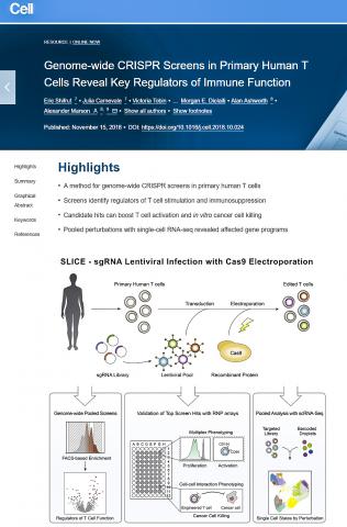인체 면역계를 확장할 수 있는 도구인 SLICE의 기능과 과정을 그래픽으로 표했다. Credit: Cell, November 15, 2018