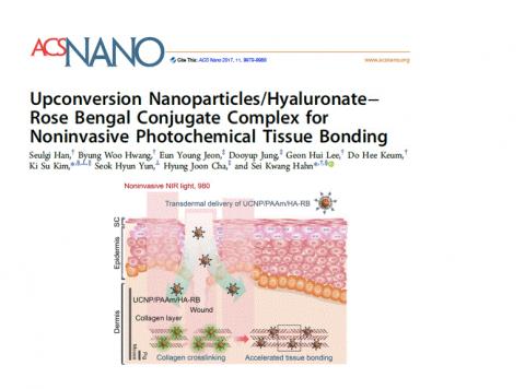 나노분야 국제학술지 ‘ACS Nano’에 수록된 한세광 교수팀의 연구결과. (사진 =상향변환 나노입자/로즈 벵갈 복합체를 상처 깊숙이 전달하고 빛을 쪼였더니 상처 속 콜라겐이 응집되는 모습) ⓒ포항공과대학교
