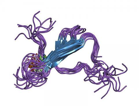 타우 단백질의 분자구조를 나타낸 그림 Credit: Wikimedia Commons / Jawahar Swaminathan and MSD staff at the European Bioinformatics Institute