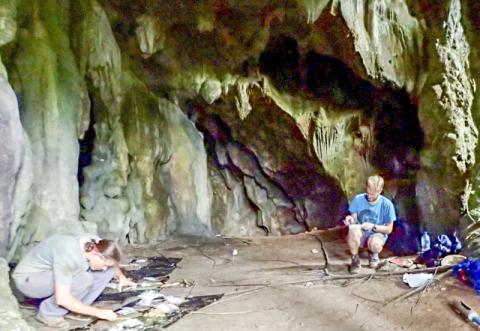 CABAH 연구원들이 세람(Seram) 섬, 니웰레후(Niwelehu) 마을 근처 라투마쿨리타(Latumakulita) 동굴의 첫 번째 방 내부를 조사하는 모습. Credit: CABAH