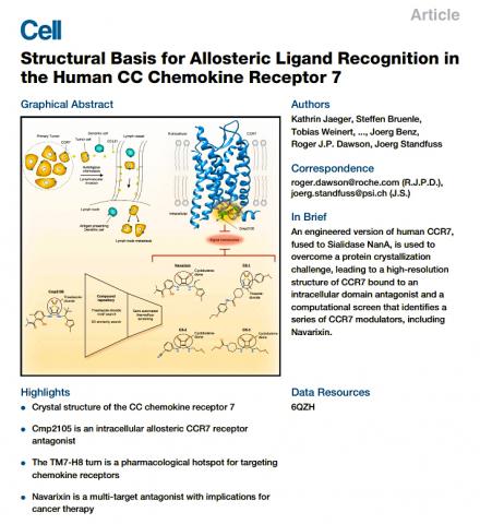 ’셀’ 지에 발표된 연구 논문의 그래픽 요약과 요점. Credit: Jaeger et al., 2019, Cell 178, 1222–1230 August 22, 2019 ª 2019 The Author(s). Published by Elsevier Inc. https://doi.org/10.1016/j.cell.2019.07.028