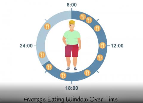 식사 패턴이 불규칙하면 신체 일주기 리듬을 방해해 신진대사에 나쁜 영향을 미친다. CREDIT: Salk Institute