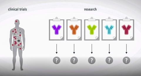 전신에 퍼진 전이암을 정확히 치료하기 위해서는 후보 약의 임상시험을 실시해 약효를 검증하는 것이 바람직하다. ©Helmholtz Zentrum München