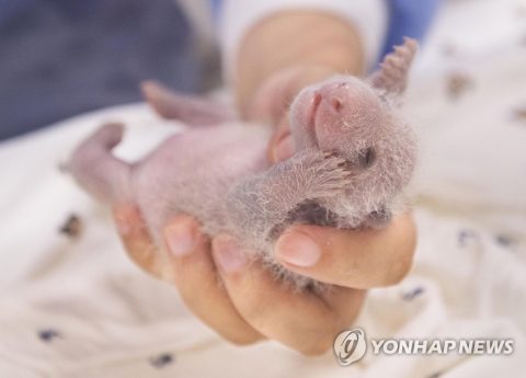 쌍둥이모바일 이미지