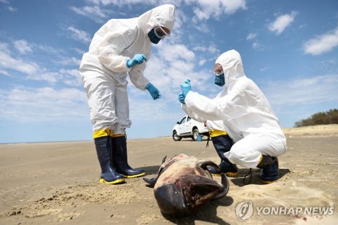 포유기술인 이미지